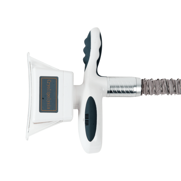 CRYOLIPOLYSIS - Görsel 2